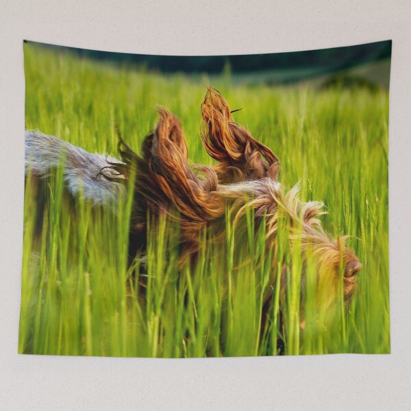 Item preview, Flight of the Spinone by heidiannemorris © designed and sold by FOLK ART FUSION by heidiannemorris.