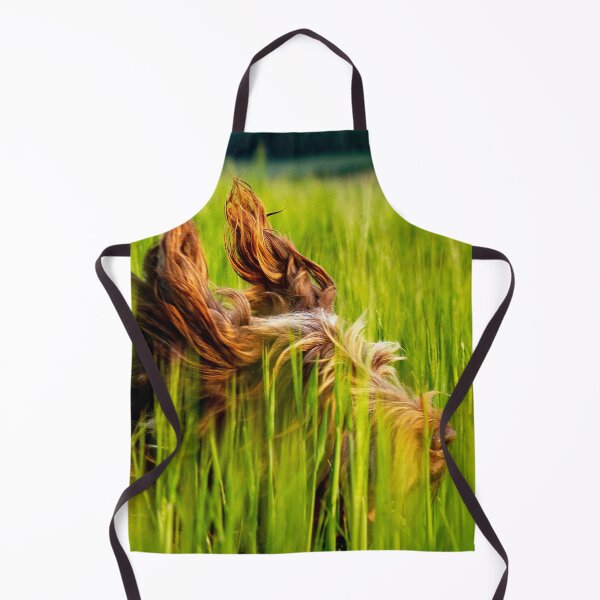 Item preview, Flight of the Spinone by heidiannemorris © designed and sold by FOLK ART FUSION by heidiannemorris.
