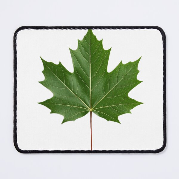Item preview, "Minimalist Maple Leaf – Elegant Botanical Print, Transparent Background, Nature-inspired Design designed and sold by Simple Nature Studio.