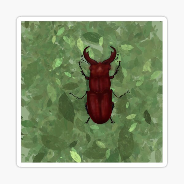 Item preview, Beetle designed and sold by eg-artt.