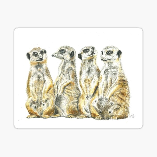 Aperçu de l'œuvre Suricates créée et vendue par AquarelJanine.