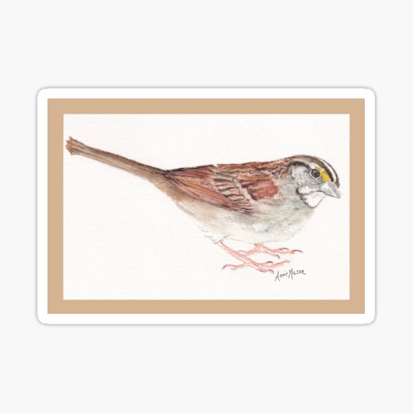 White-throated Sparrow - watercolor painting Sticker