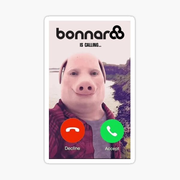 Artikel-Vorschau von Bonnaroo ruft ..., designt und verkauft von Caitlyn Bradley.