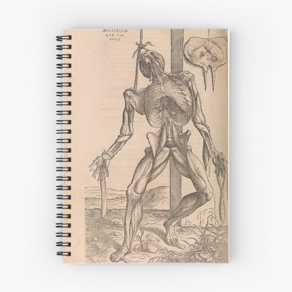 Item preview, Anatomical skeleton Illustration from De humani corporis fabrica libri septem by Andreas Vesalius published circa 1543 designed and sold by artfromthepast.