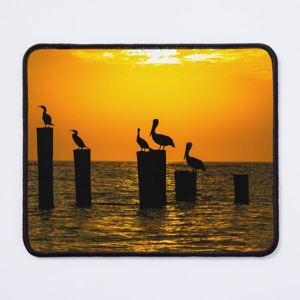 Item preview, Orange Pelicans designed and sold by jeshallock.