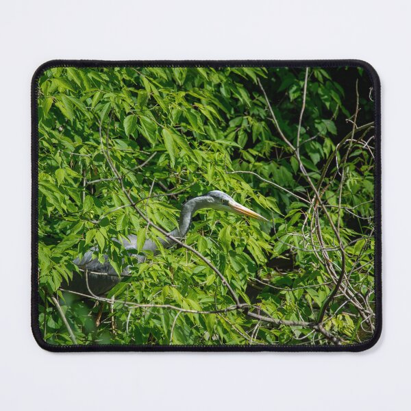 Item preview, Spring vibe Odra river designed and sold by MerryStomps.