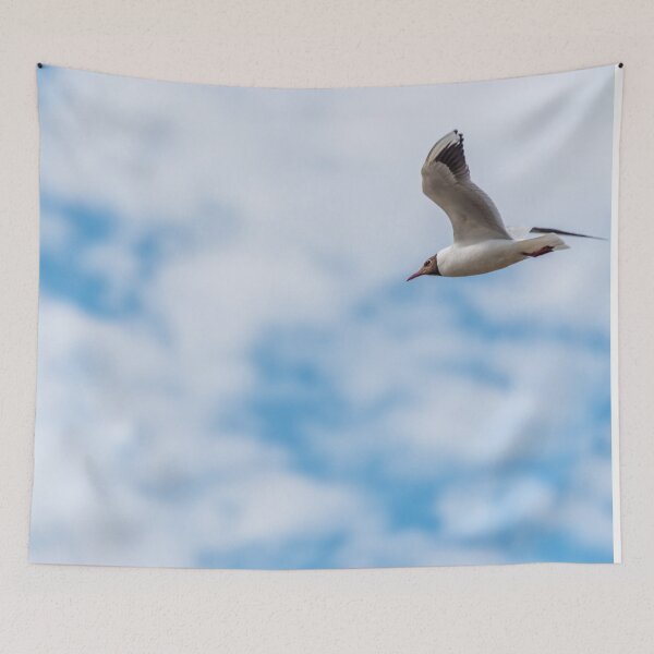 Item preview, Black Headed Seagull Flying in a Beautiful Cloudy Sky designed and sold by Jon Shore.