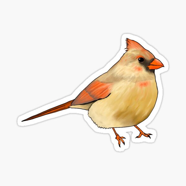 Item preview, Female Northern Cardinal designed and sold by jaeart28.