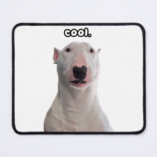 Item preview, @PupperNelson: cool. designed and sold by PupperNelson.
