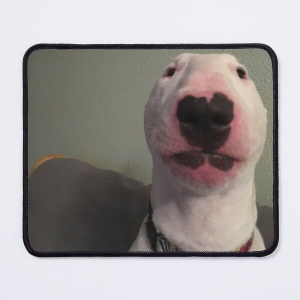 Item preview, @PupperNelson: "Walter" Original designed and sold by PupperNelson.