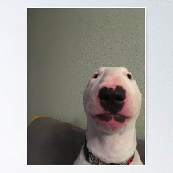 Item preview, @PupperNelson: "Walter" Original designed and sold by PupperNelson.