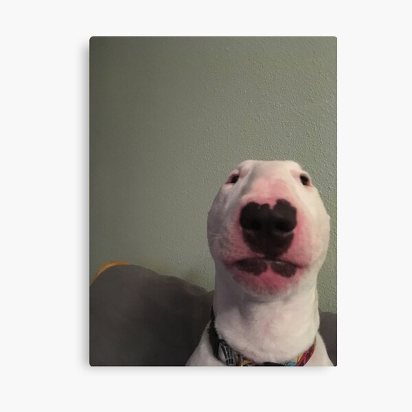Item preview, @PupperNelson: "Walter" Original designed and sold by PupperNelson.