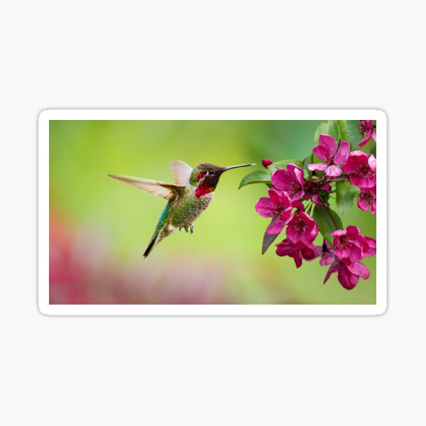 Item preview, SPRING VIBRANCE designed and sold by Sandy Hill.