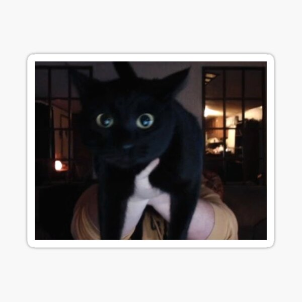 Item preview, Caseoh's Kitty designed and sold by GraceeDrake.