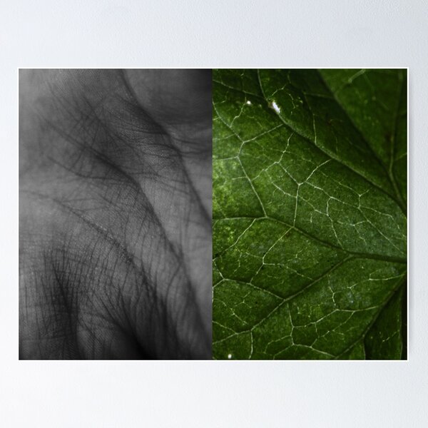 Item preview, Naturfotografie designed and sold by ninadoyleg.