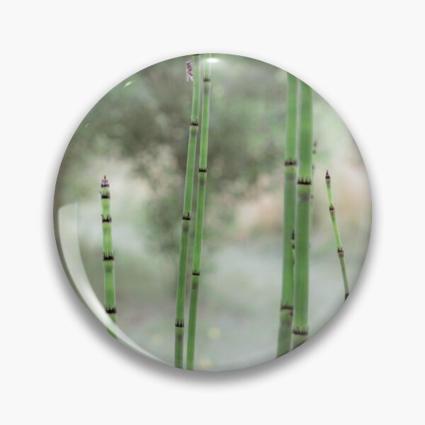 Item preview, Bamboo photograph - Color version designed and sold by Origillus.