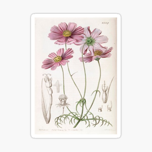 Item preview, vintage flower designed and sold by ammies-art-shop.