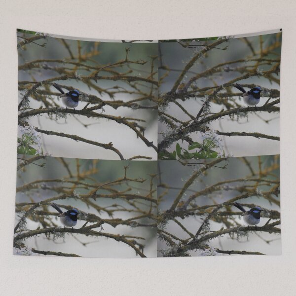 Item preview, Superb Fairy Wren designed and sold by Kymbo.