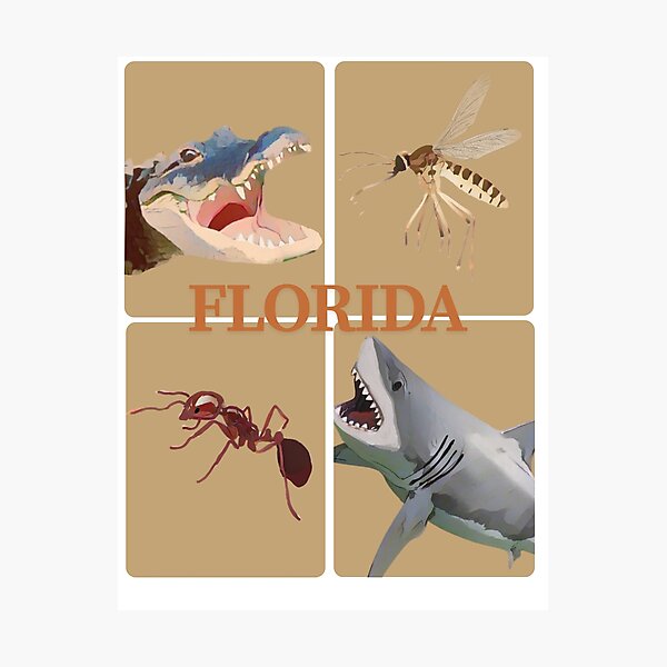 Item preview, Florida shark and alligator mosquito designed and sold by TaraPen.