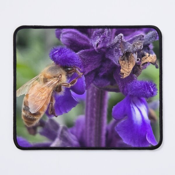 Item preview, Honeybee in a Purple Flower designed and sold by Betsy Phillips.