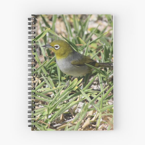Item preview, Silvereye designed and sold by Kymbo.