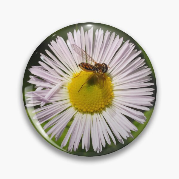 Item preview, Daisy fleabane designed and sold by annasofia.