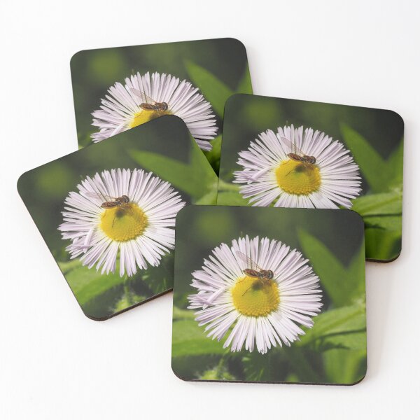 Item preview, Daisy pulguera designed and sold by annasofia.