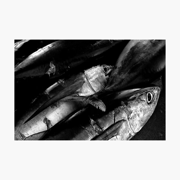 Item preview, Tuna designed and sold by Andrew Edgar.