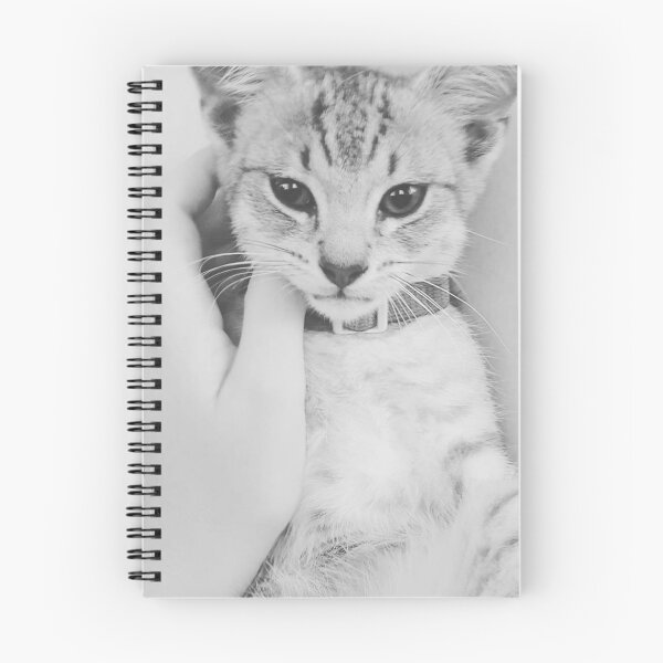 Item preview, Cat designed and sold by Chantelle Ashton.