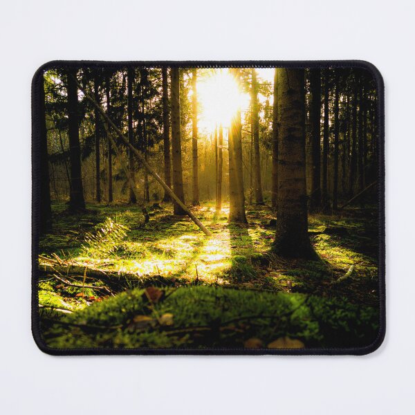 Item preview, Mystical evening in the forest designed and sold by P.J 's Wildframes.