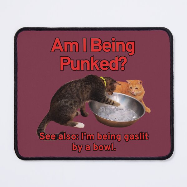 Item preview, Funny Cats Am I Being Punked? designed and sold by HappyHavenStu.