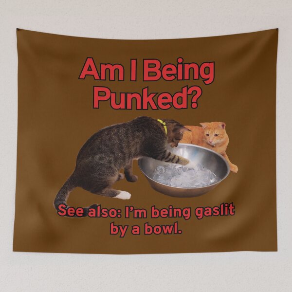 Item preview, Funny Cats Am I Being Punked? designed and sold by HappyHavenStu.