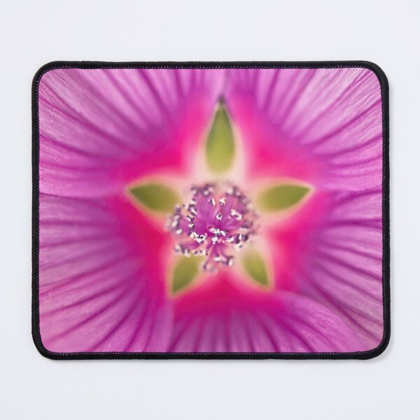 Item preview, Purple Lavatera Flower designed and sold by assaf.