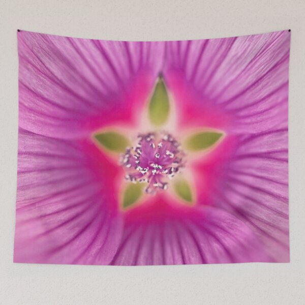 Item preview, Purple Lavatera Flower designed and sold by assaf.
