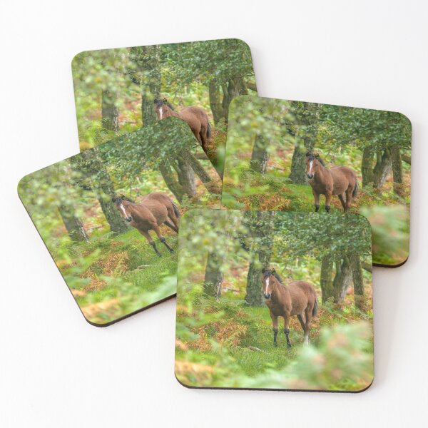 Item preview, New Forest Nomad designed and sold by assaf.