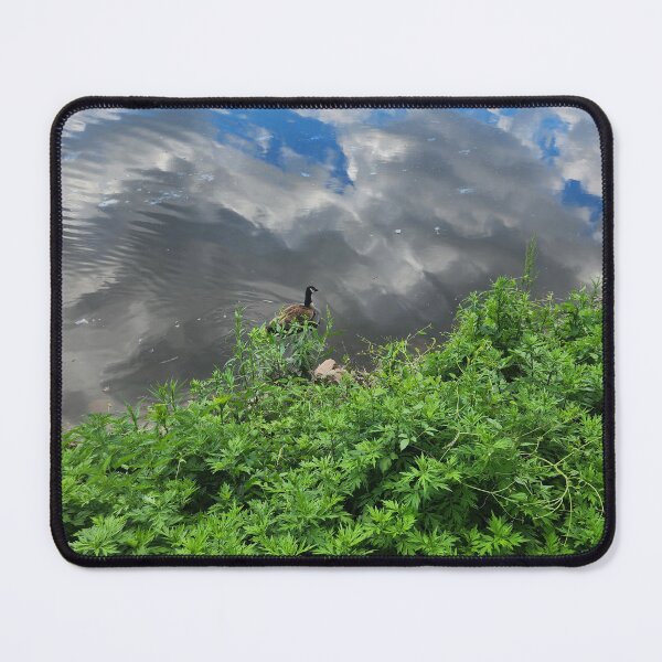 Item preview, Stuck between two places designed and sold by Bearsweetie2018.