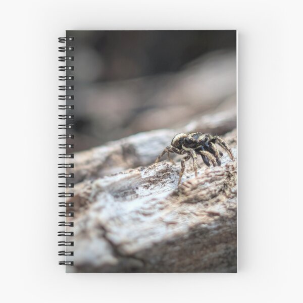 Item preview, Zebra Jumping Spider designed and sold by Emily Noyes.