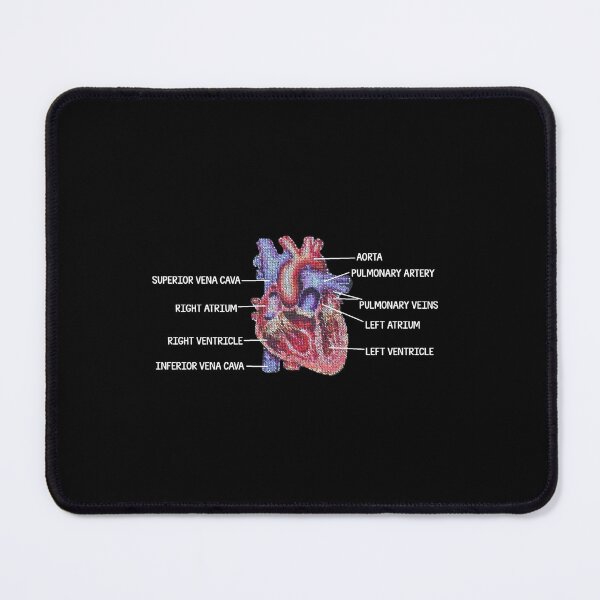 Item preview, Labelled heart diagram stitch designed and sold by Bugbotherer30.