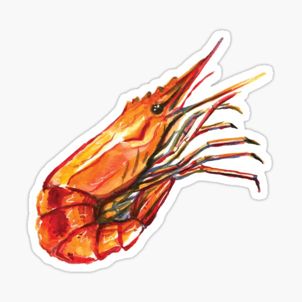 Item preview, Juicy Prawn designed and sold by funkillu.