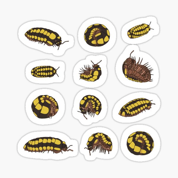 Item preview, Yellow Spotted Isopods designed and sold by FenneckyArts.