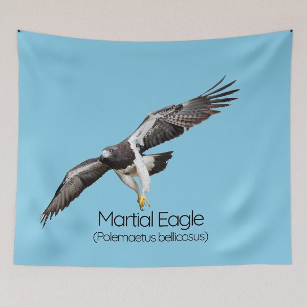 Item preview, Martial Eagle – The Fierce Guardian of African Skies designed and sold by The Digital Compass.