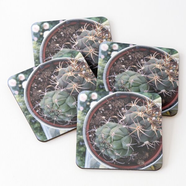 Item preview, Cactus Means Tenacity designed and sold by MilabArt.