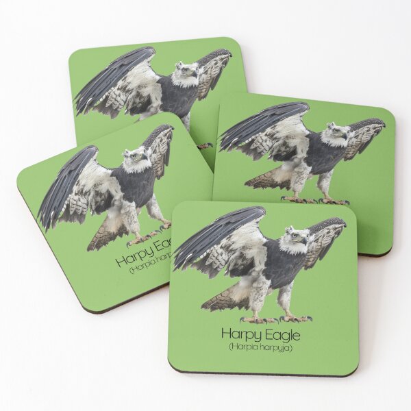 Item preview, Harpy Eagle – The Fierce Guardian of the Rainforest designed and sold by The Digital Compass.
