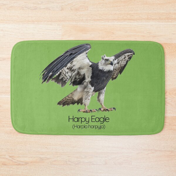 Item preview, Harpy Eagle – The Fierce Guardian of the Rainforest designed and sold by The Digital Compass.