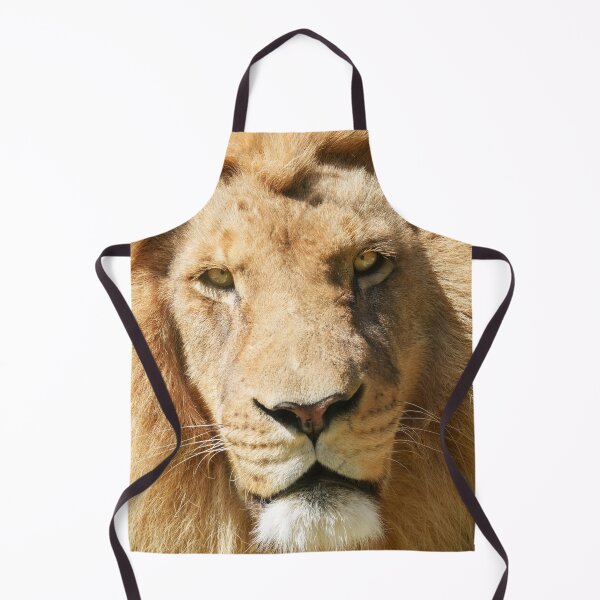 Item preview, Focused Male Lion designed and sold by rawshutterbug.