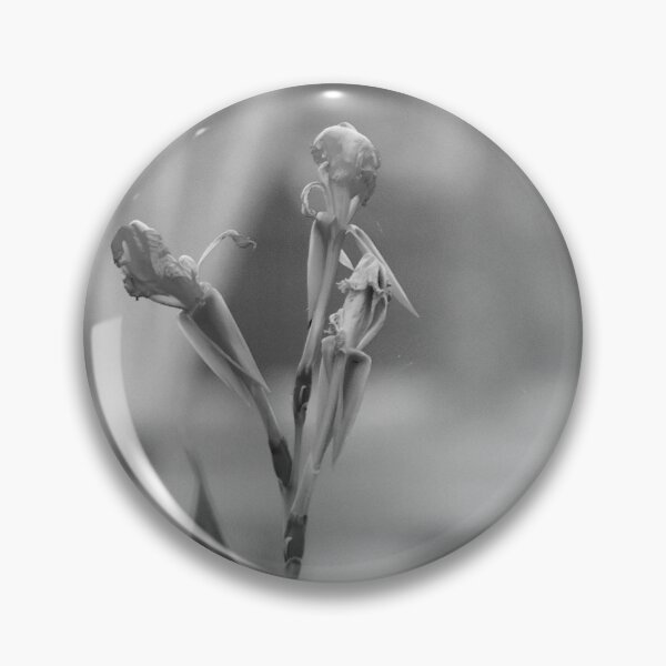Item preview, Canna Lily Flower Black And White  designed and sold by MercerImages.