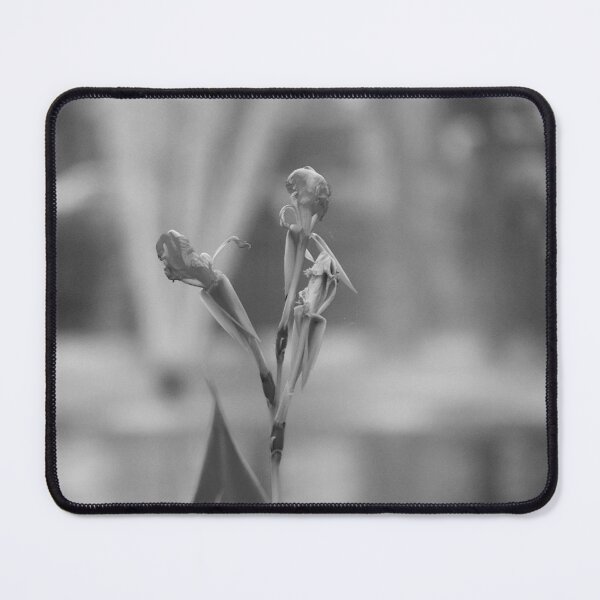 Item preview, Canna Lily Flower Black And White designed and sold by MercerImages.