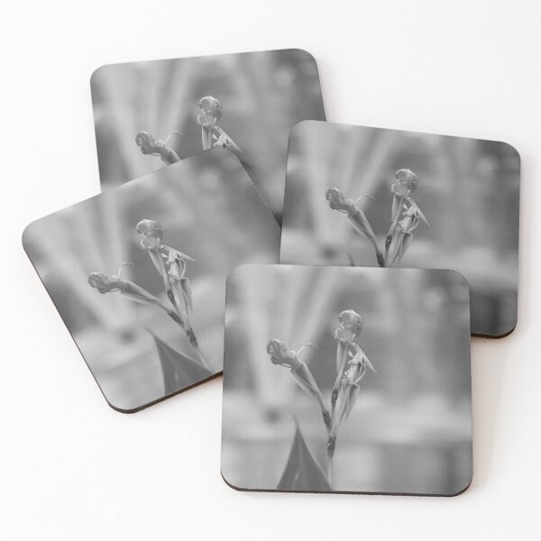 Item preview, Canna Lily Flower Black And White  designed and sold by MercerImages.