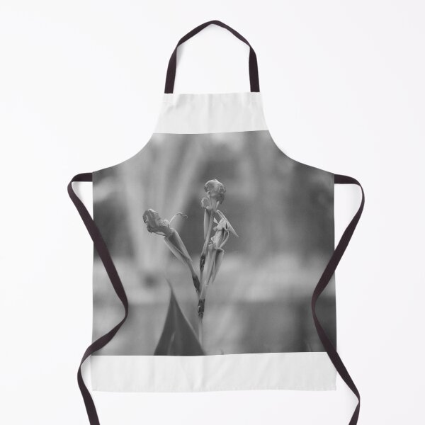 Item preview, Canna Lily Flower Black And White designed and sold by MercerImages.
