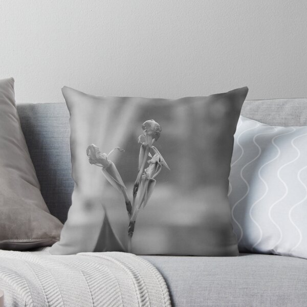 Item preview, Canna Lily Flower Black And White  designed and sold by MercerImages.